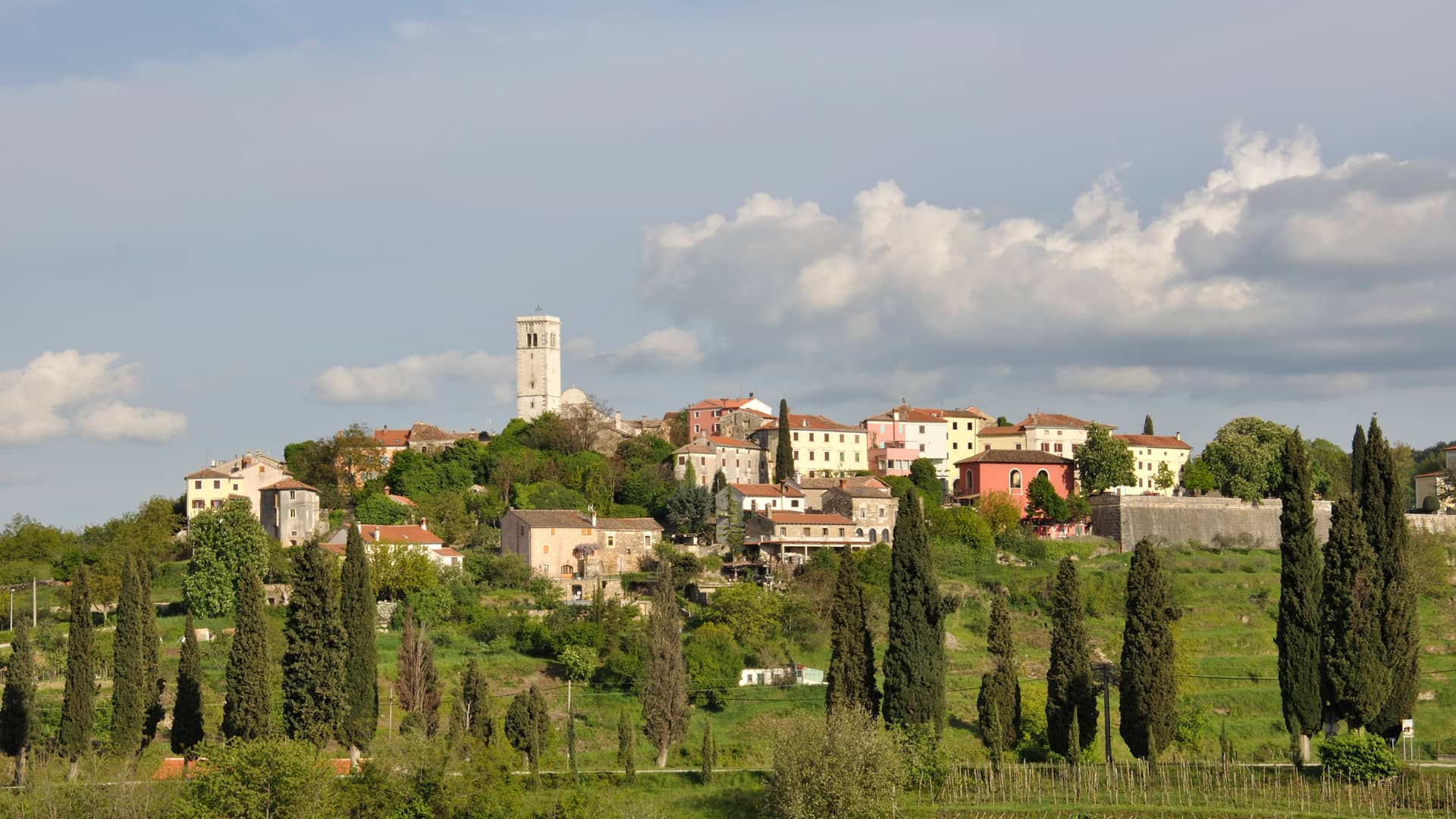 Istrian wine roads tour