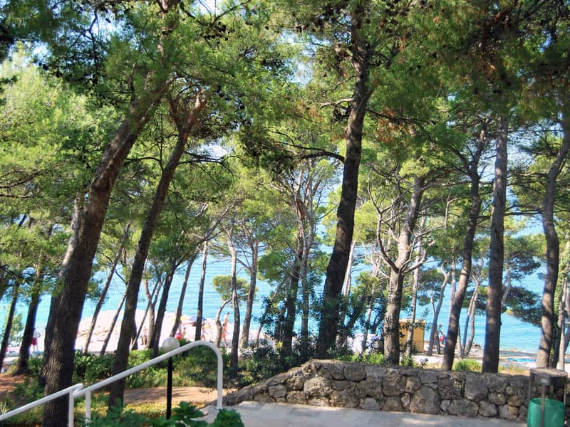 Hotel BLUESUN HOTEL MARINA