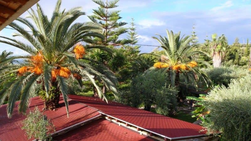 Hotel Mikros Paradisos
