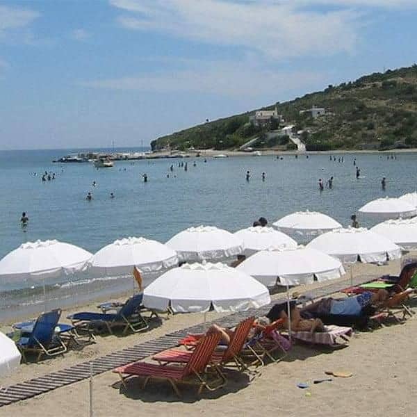 Hotel Oasis Hotel By Svetlana And Michalis