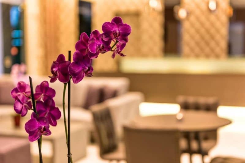 Hotel Ariadne