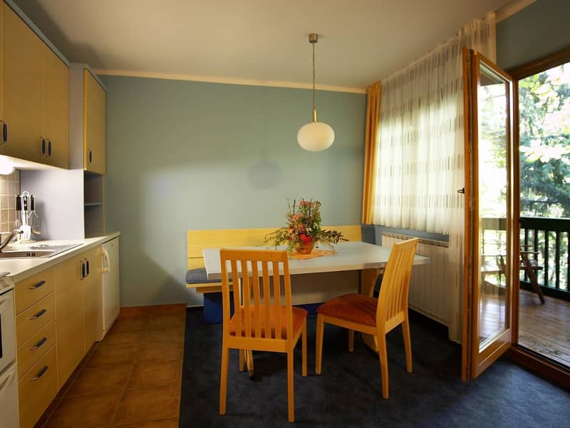 Hotel Vila Terme Zreče