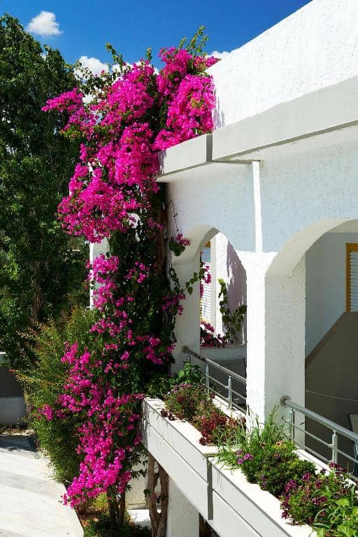 Hotel Apollon Hotel Apartments