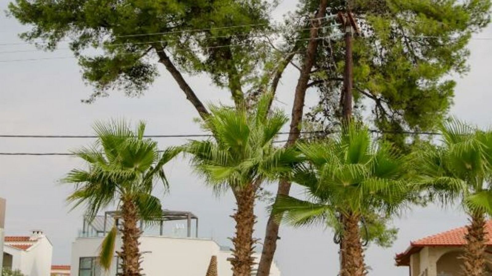 Hotel Hanioti Melathron