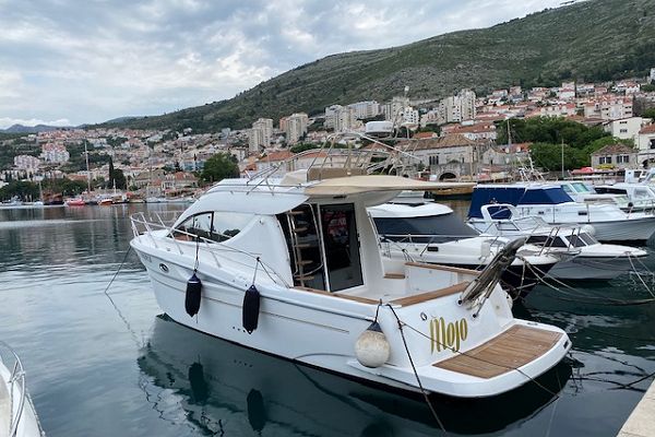 Sessa Dorado 32 - Norah - 4