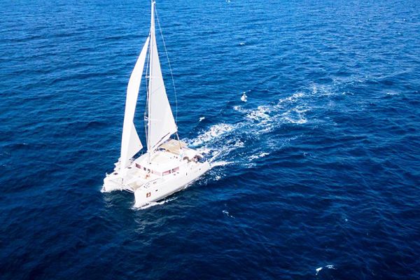 Lagoon 450 Fly - BLUE BERRY  - 5