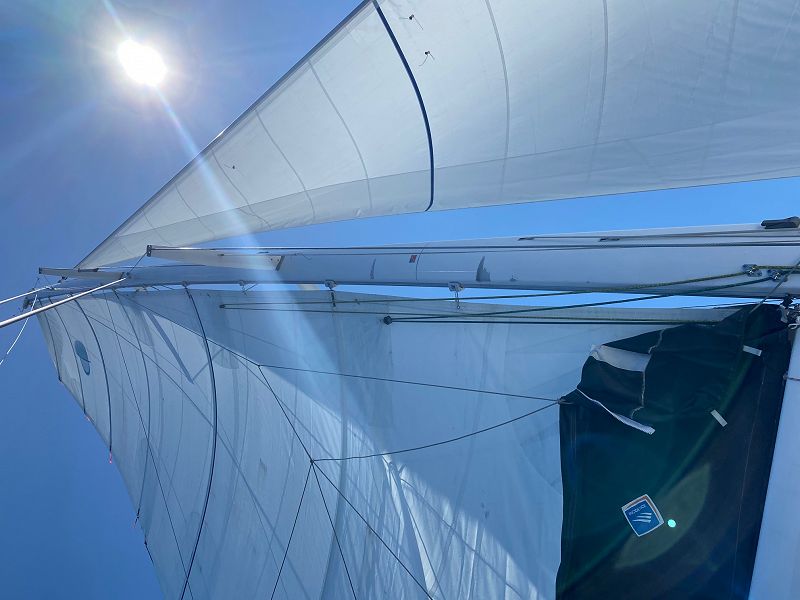 Lagoon 50 - ADRIATIC LEOPARD  - 7