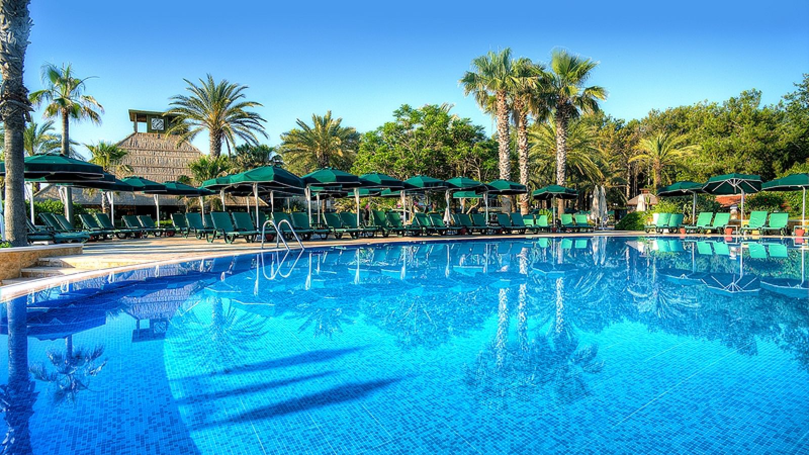 Hotel GYPSOPHILA CLUB MARINE