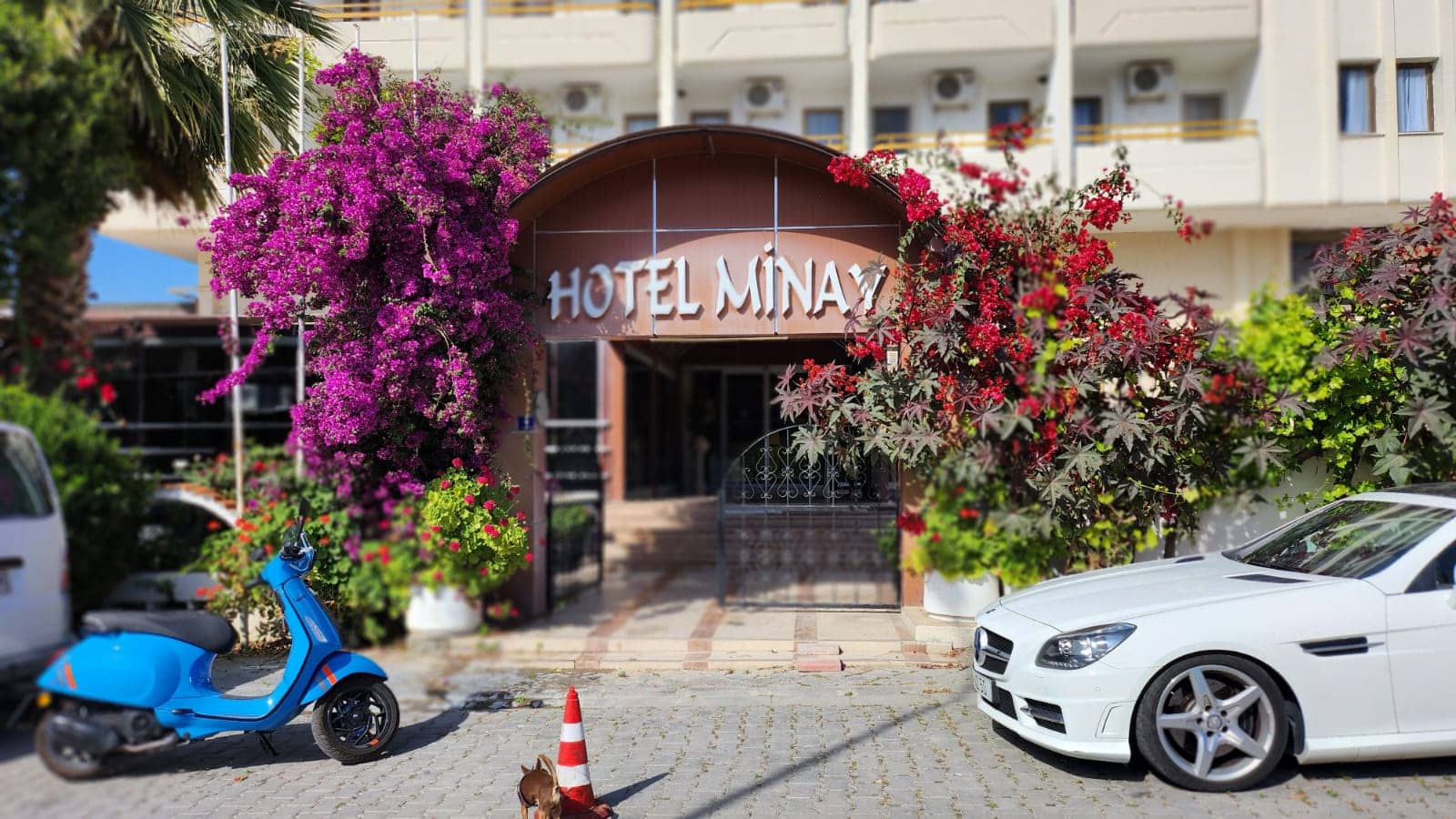 Hotel Minay (Minay Plus)