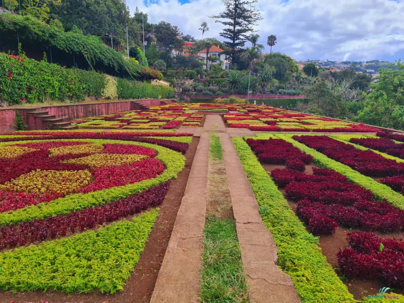 Putovanje Madeira 21.08.2025