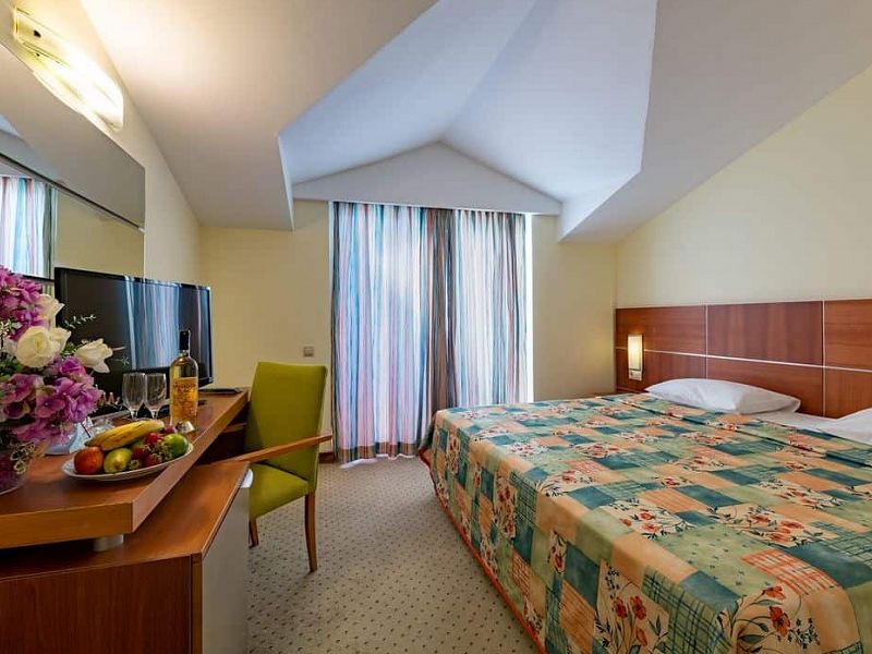 Hotel VIKING PARK HOTEL & SPA