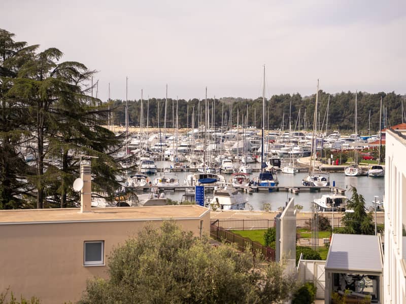 Apartment Arbora 39.