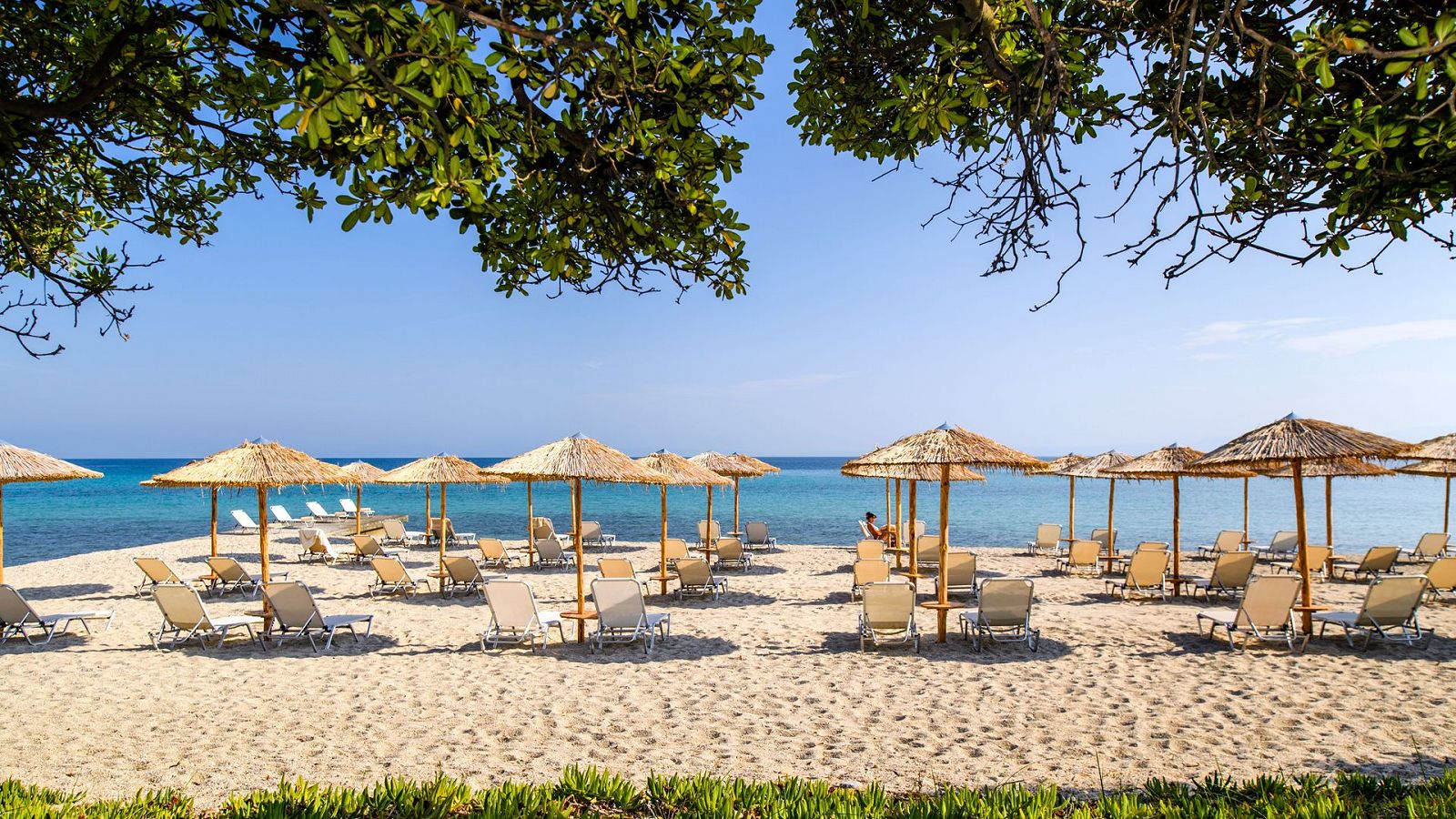 Hotel Kassandra Palace Seaside Resort