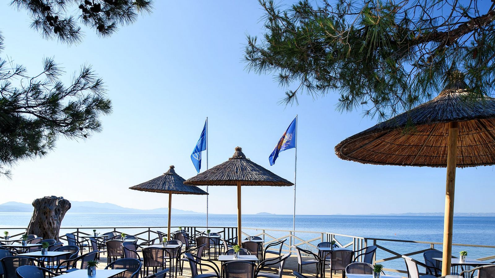 Hotel Blue Dolphin Hotel Chalkidiki
