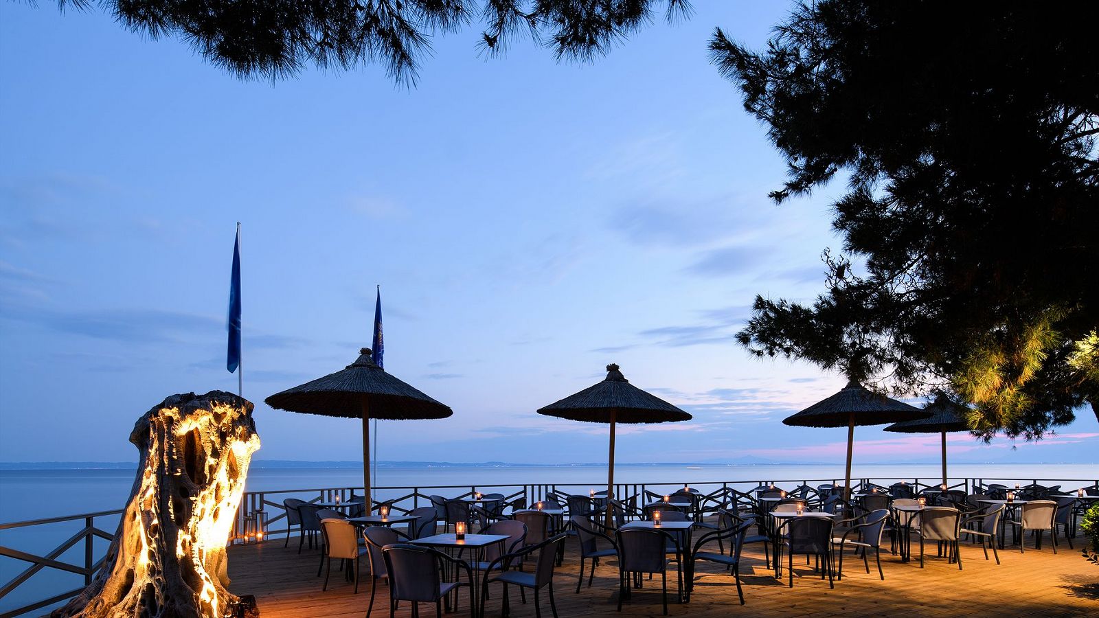 Hotel Blue Dolphin Hotel Chalkidiki
