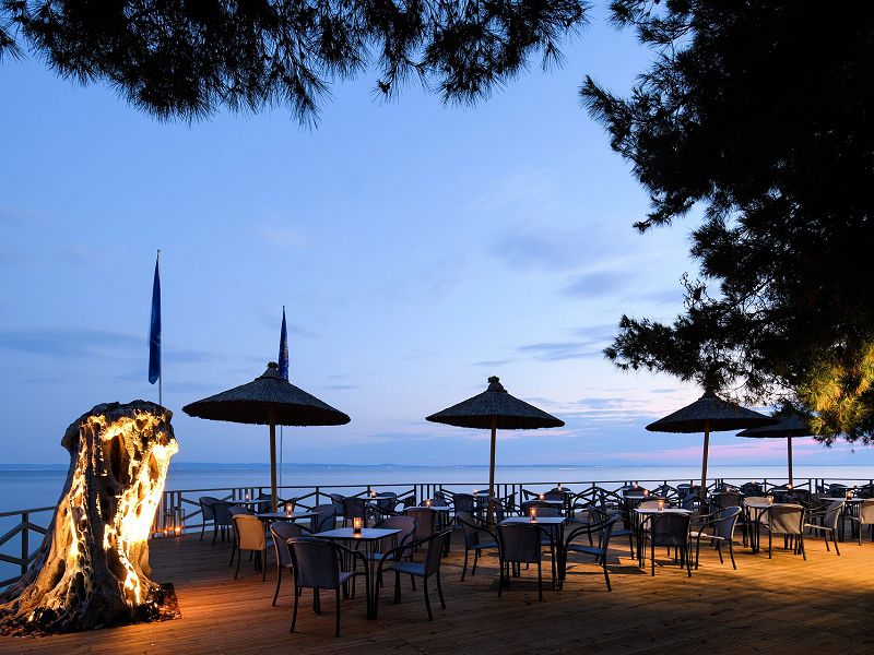 Hotel Blue Dolphin Hotel Chalkidiki