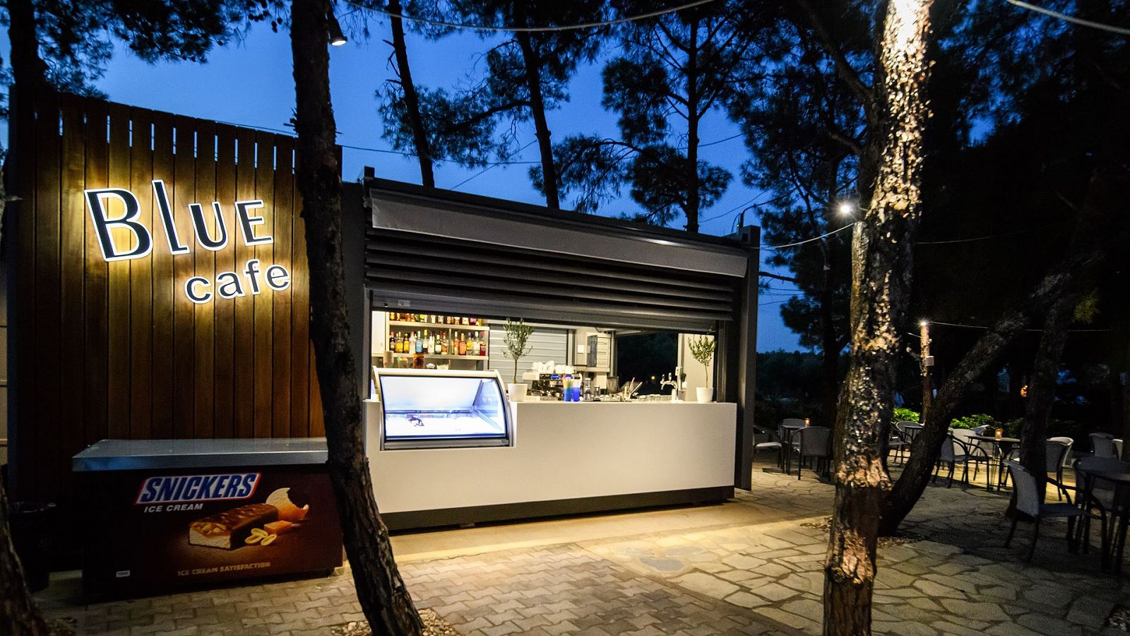 Hotel Blue Dolphin Hotel Chalkidiki