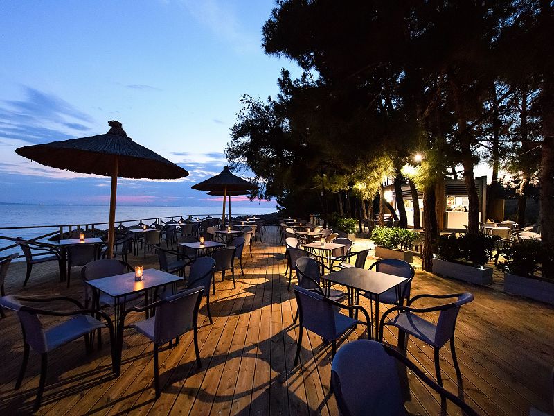 Hotel Blue Dolphin Hotel Chalkidiki