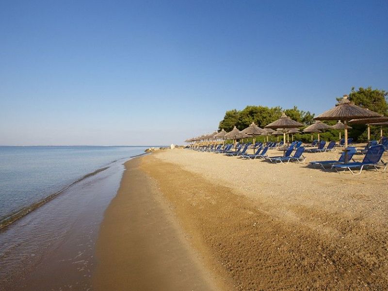 Hotel Blue Dolphin Hotel Chalkidiki