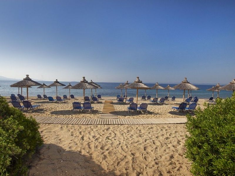 Hotel Blue Dolphin Hotel Chalkidiki