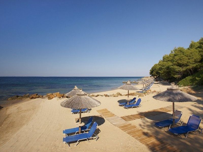 Hotel Blue Dolphin Hotel Chalkidiki