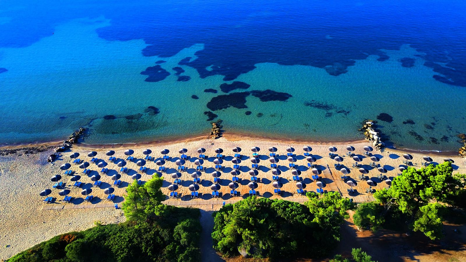 Hotel Blue Dolphin Hotel Chalkidiki
