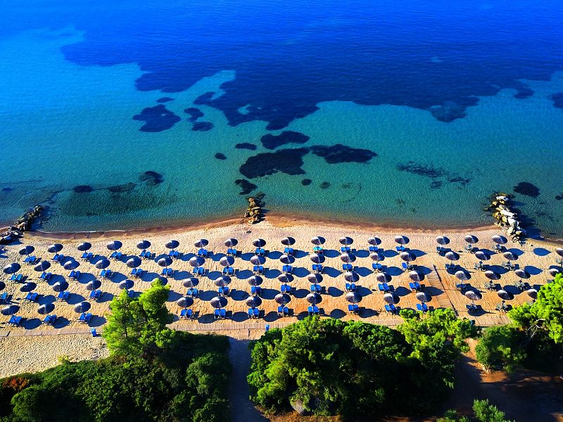 Hotel Blue Dolphin Hotel Chalkidiki