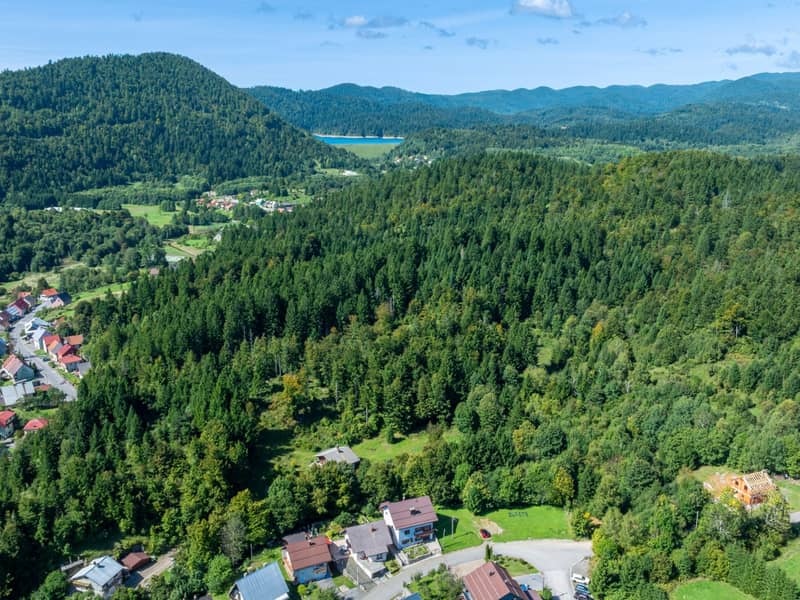 Ferienwohnung PGL109 (Apartaman Goga) 3.