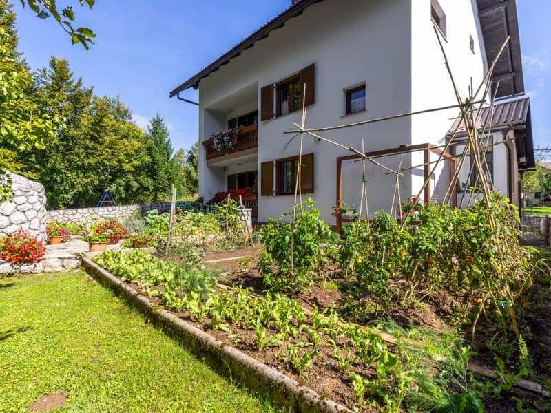 Ferienwohnung PGL109 (Apartaman Goga) 18.