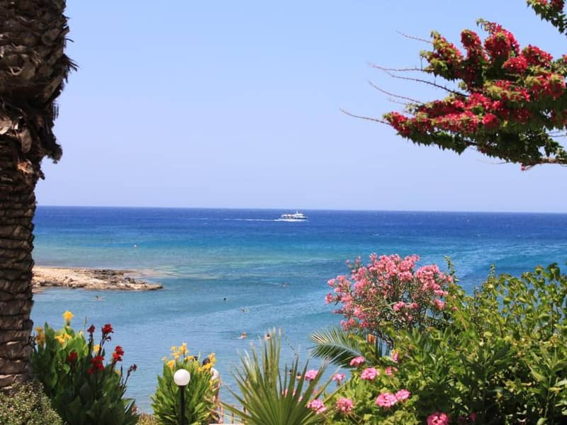 Hotel Crystal springs