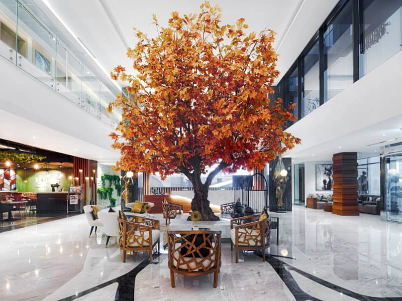 Hotel C Central Resort The Palm