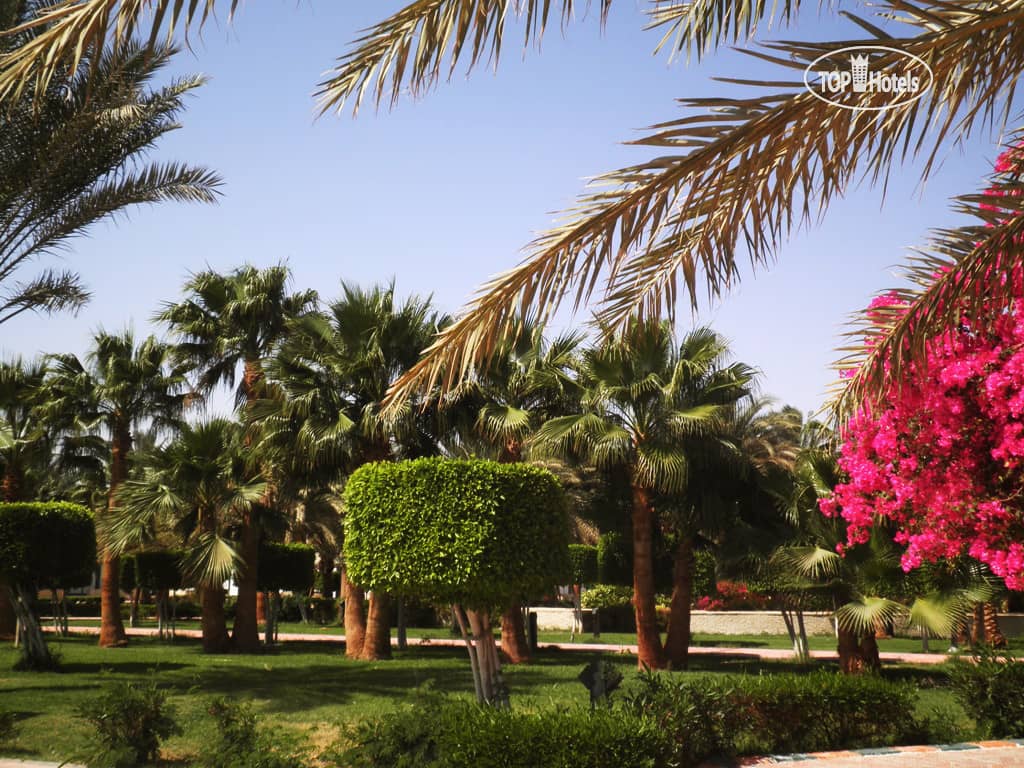 Hotel Diamond Beach Hotel-White Valley