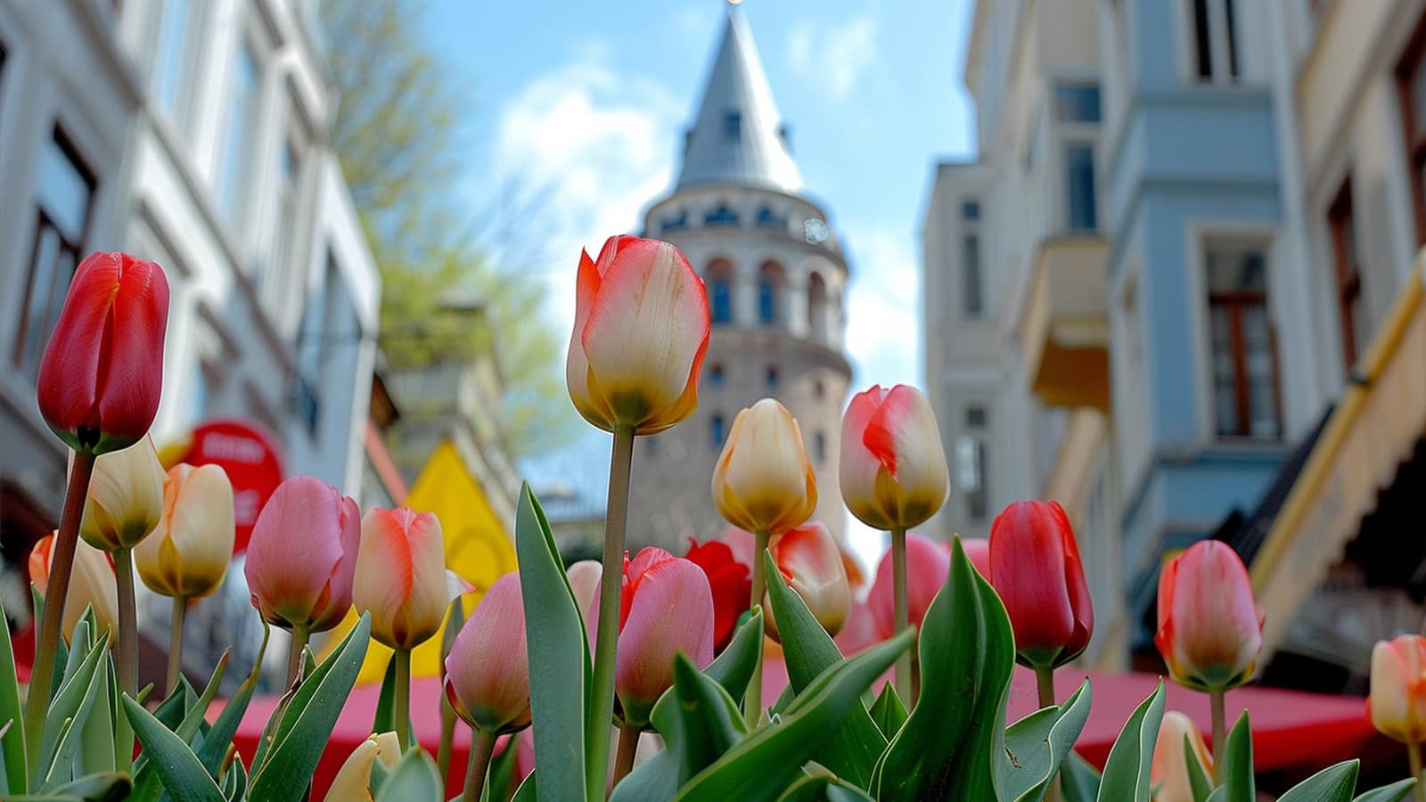 Festival lala - Istanbul - Avionom iz Sarajeva