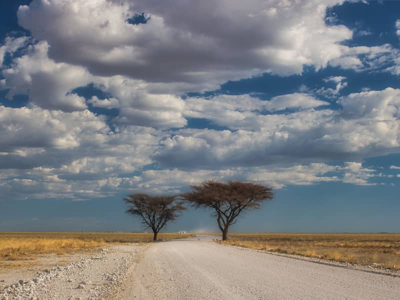 Putovanje Namibija - zemlja crvenih dina
