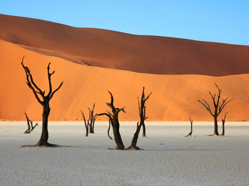 Putovanje Namibija - zemlja crvenih dina