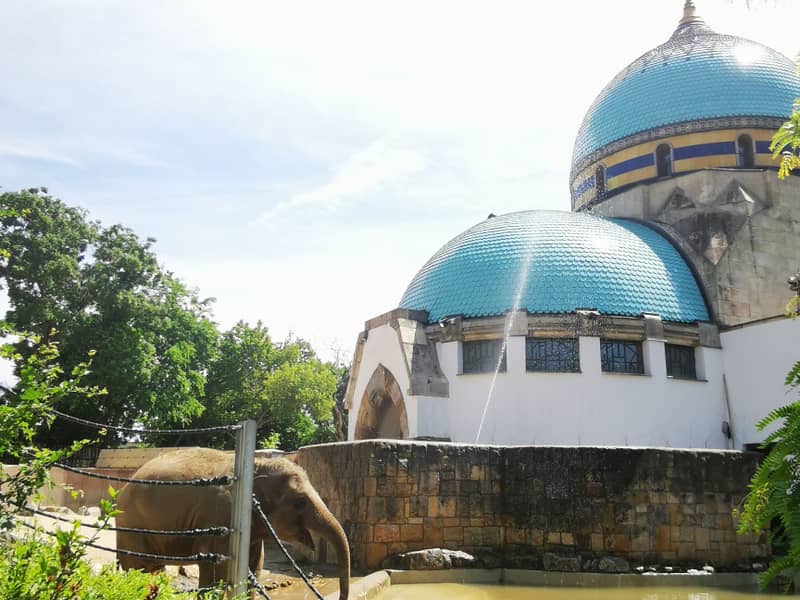 BUDIMPEŠTA – ZAGREB