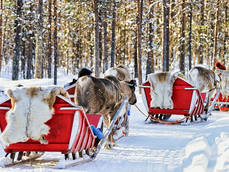 Putovanje Rovaniemi – u zemlji Djeda Božićnjaka