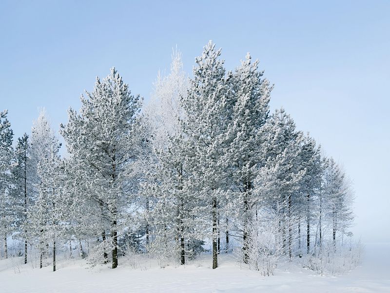 Putovanje Rovaniemi – u zemlji Djeda Božićnjaka