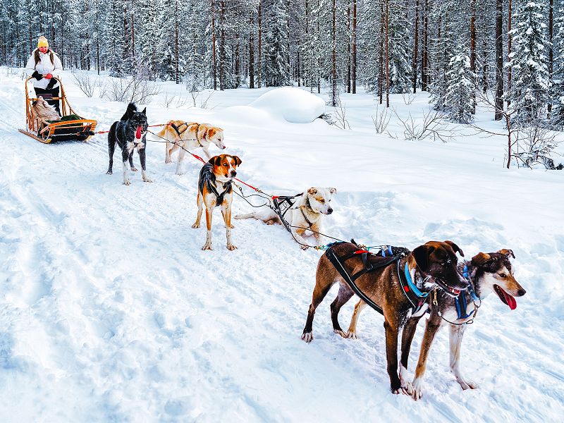 Putovanje Rovaniemi – u zemlji Djeda Božićnjaka